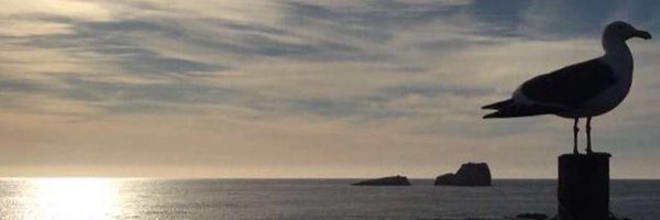 SimulatedDave Profile Banner