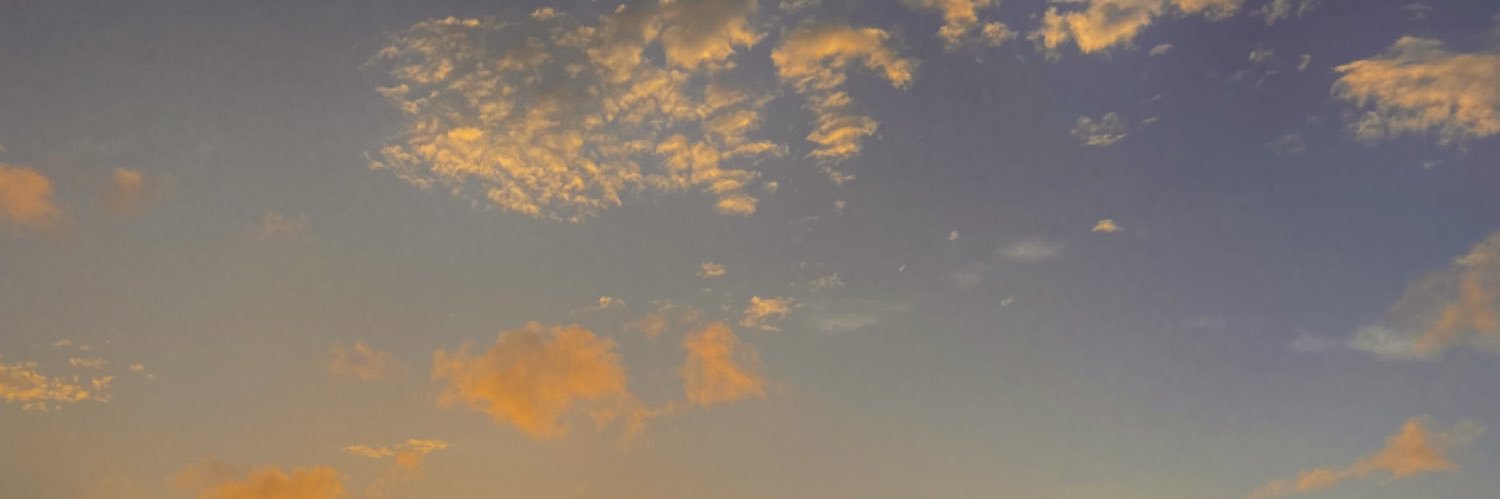 adilsonjrs's profile banner image