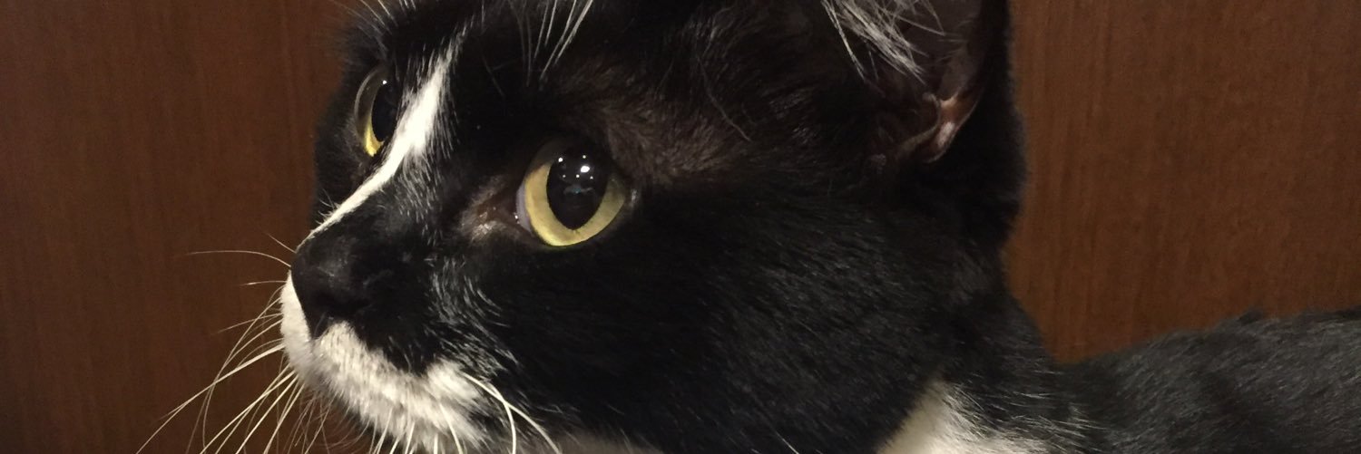 うえぽん(えださん) banner