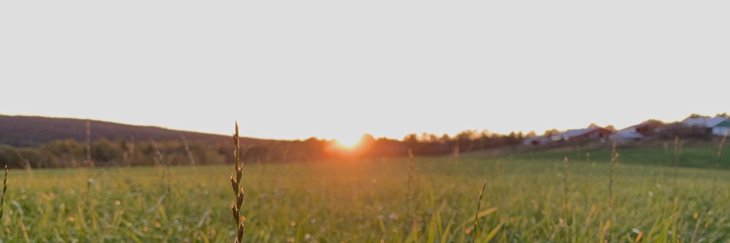 olive4594's profile banner image