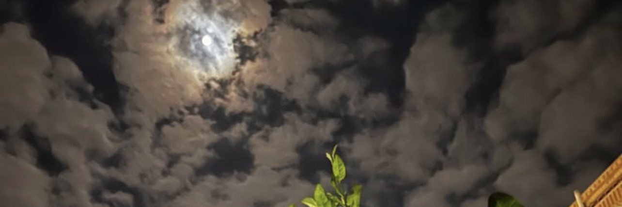 yzeeyd's profile banner image