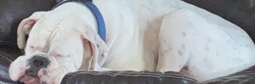hkubby3985's profile banner image