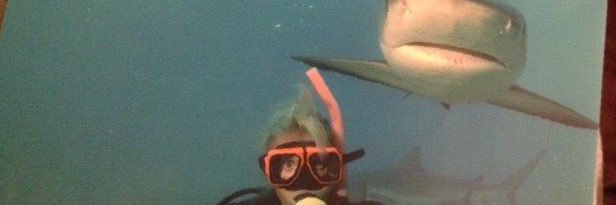 ali_lacy's profile banner image