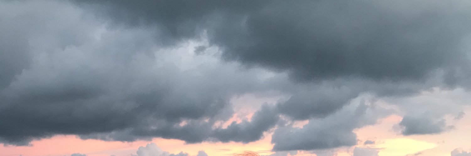 supitslaura's profile banner image