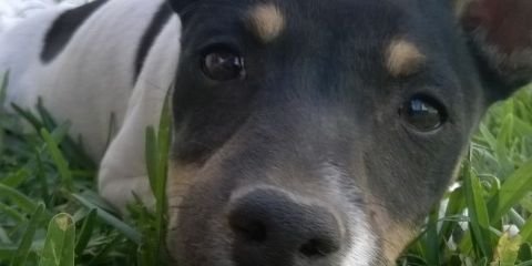 pilar_tl's profile banner image