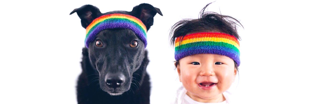 dogugizem's profile banner image