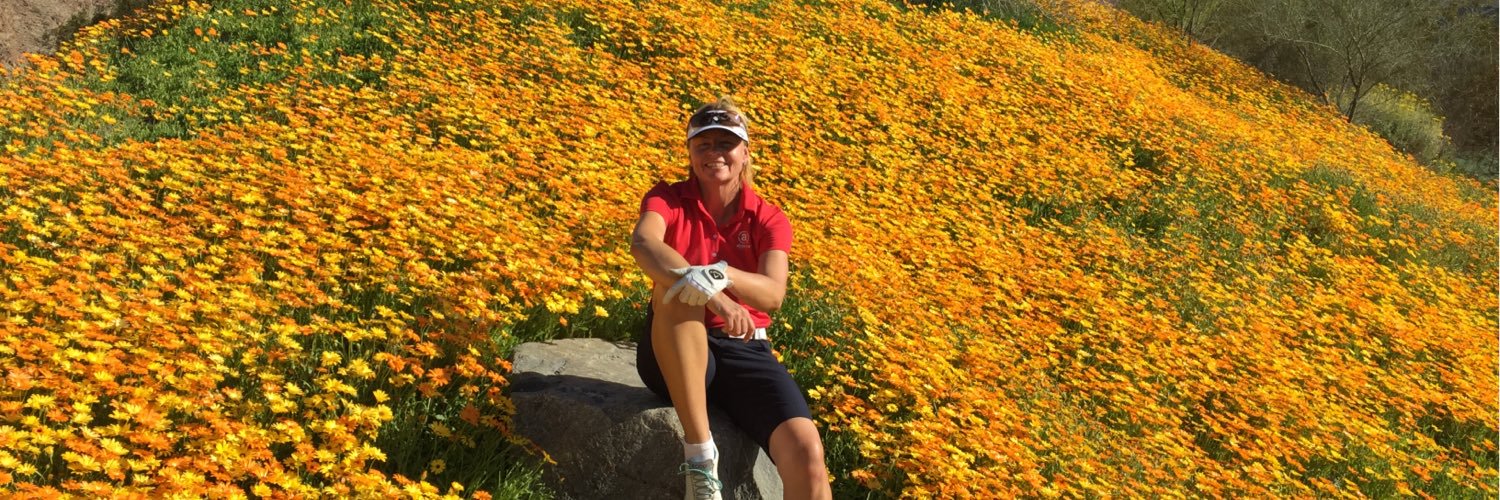 Liselotte Neumann banner