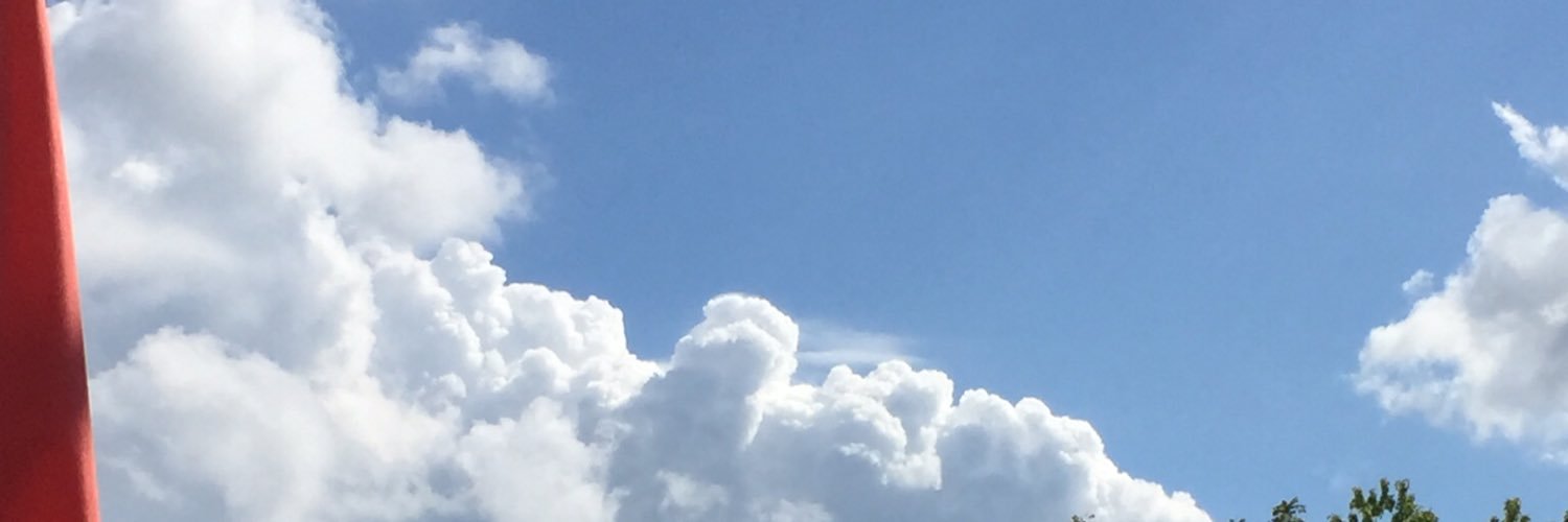 SherrieLynn7's profile banner image