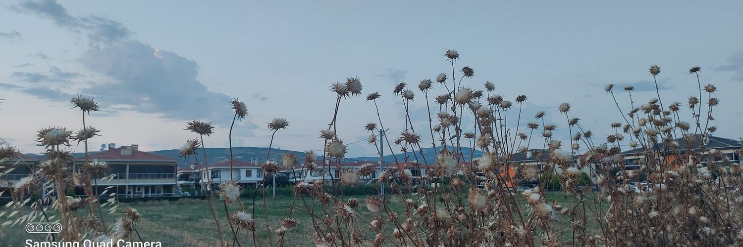 MMzisyen's profile banner image
