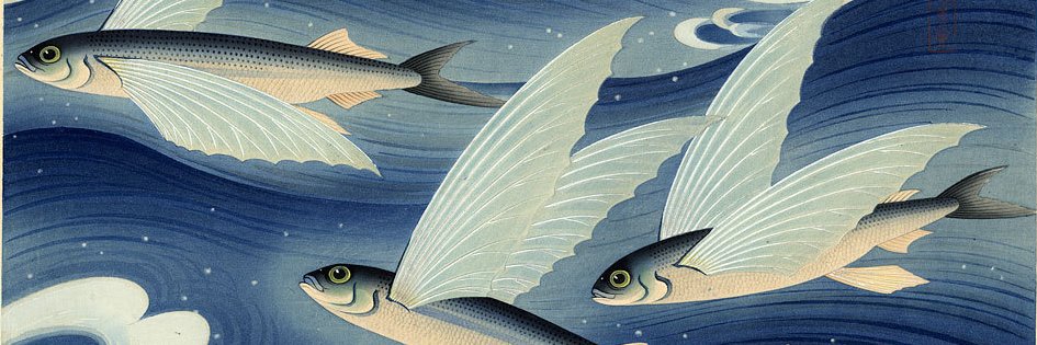 Annetta Black banner