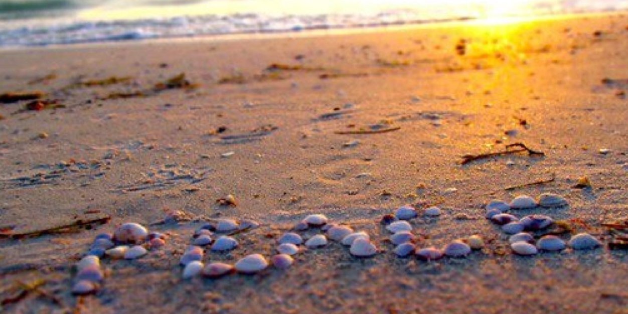 SHELLSHELLMAC's profile banner image