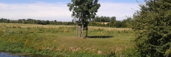 mintybits6 Profile Banner