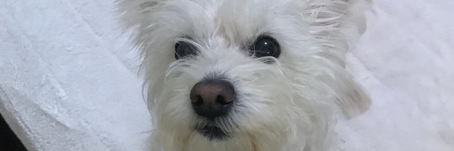 susyy1d's profile banner image