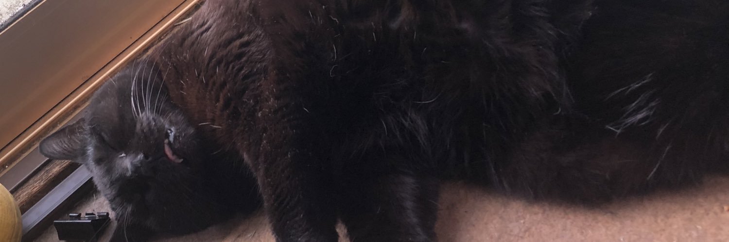 runamondo3's profile banner image