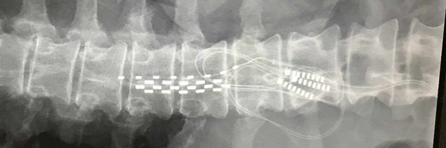 AmazonGoddess banner