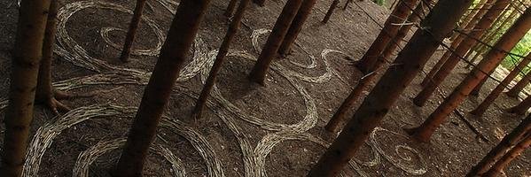 Search4Crumbs banner