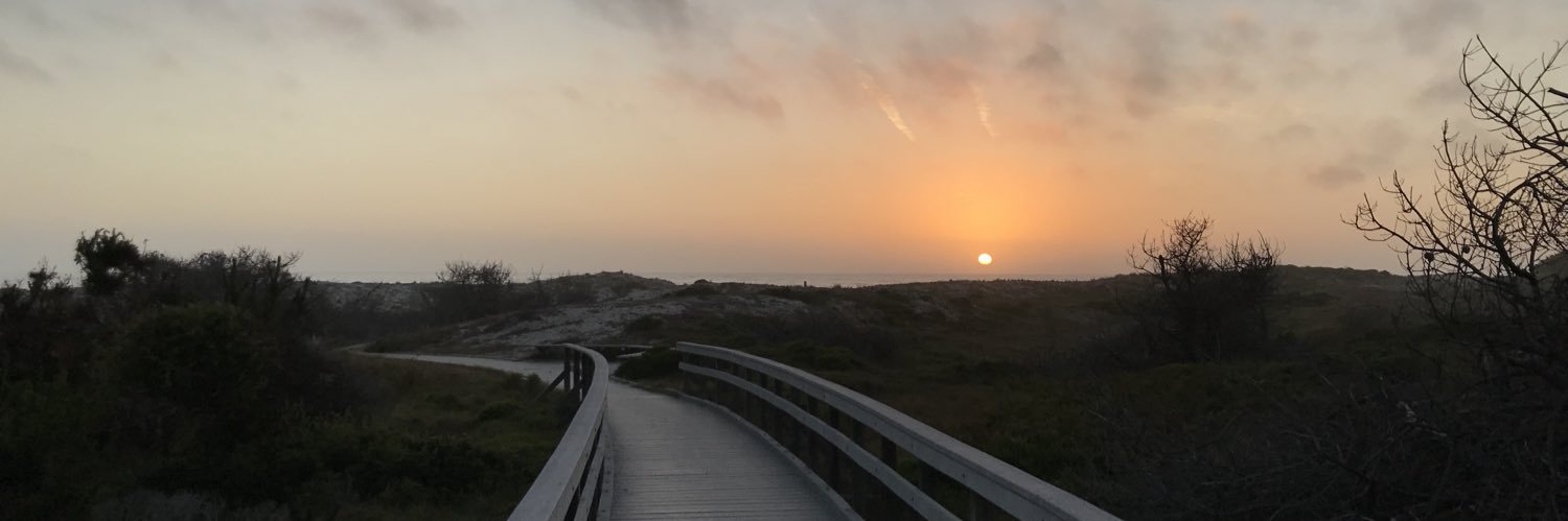 Sergey Korsakov banner