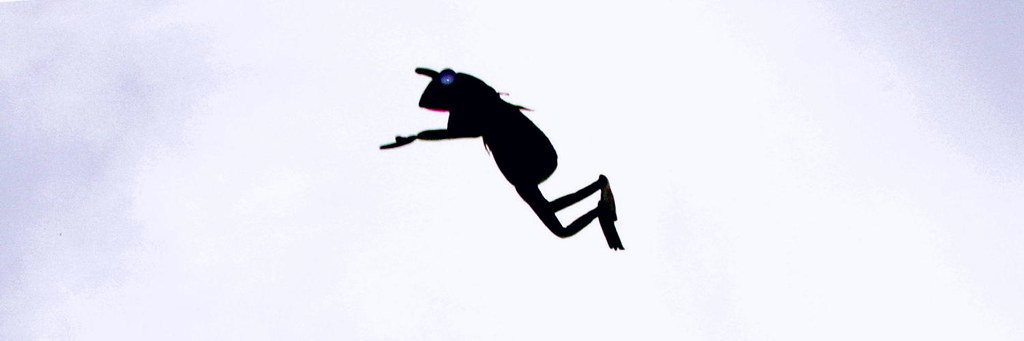 murilobnts's profile banner image