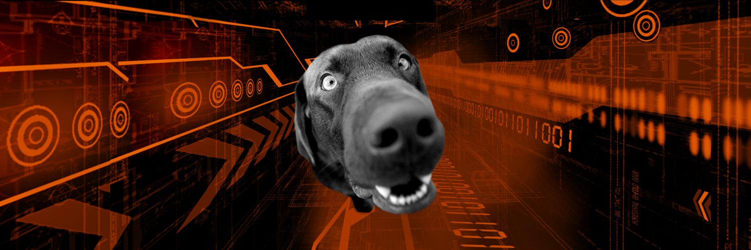 birddogsoftware's profile banner image