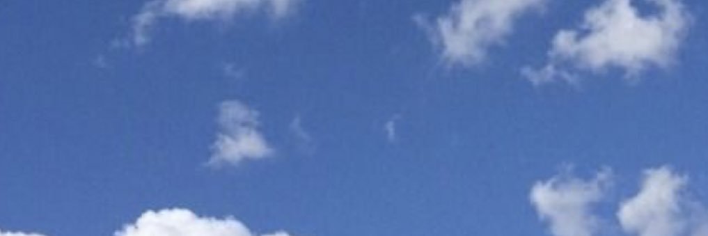 desireemasc's profile banner image