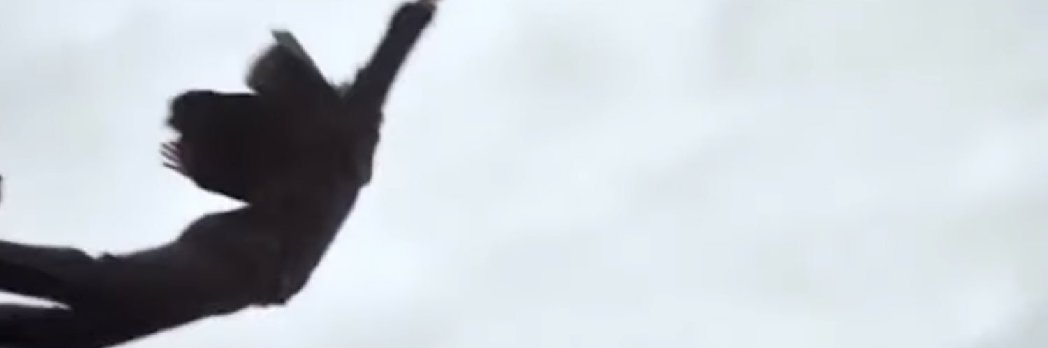 vik770's profile banner image
