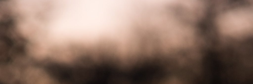 stashburns's profile banner image
