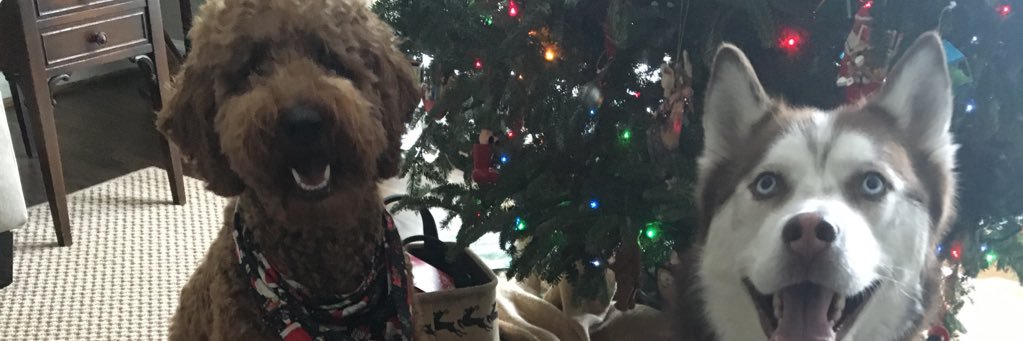 kfly3's profile banner image