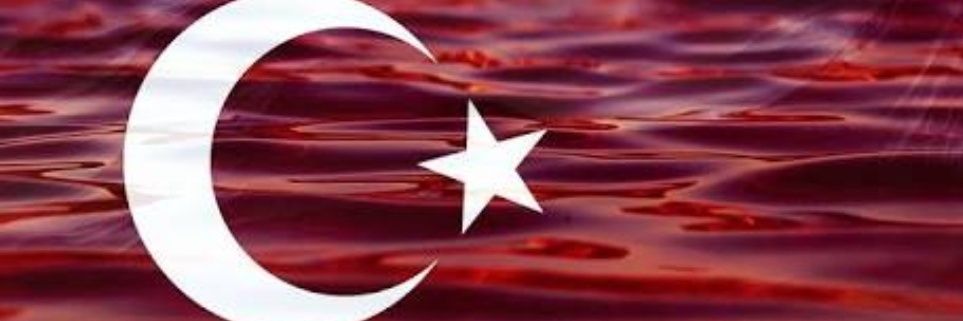 MAHMUT TEKİNER 🇹🇷 banner