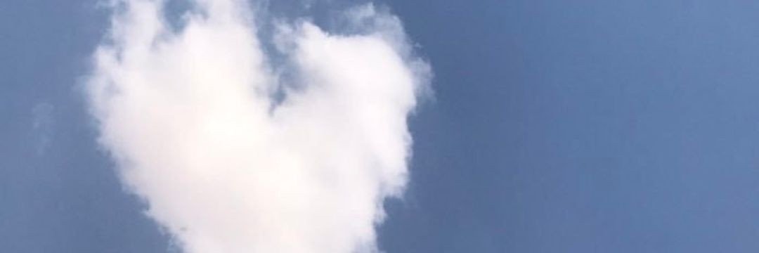 hanoali88's profile banner image