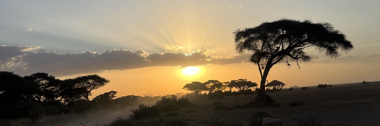 Alexis Tchek 🦁 banner