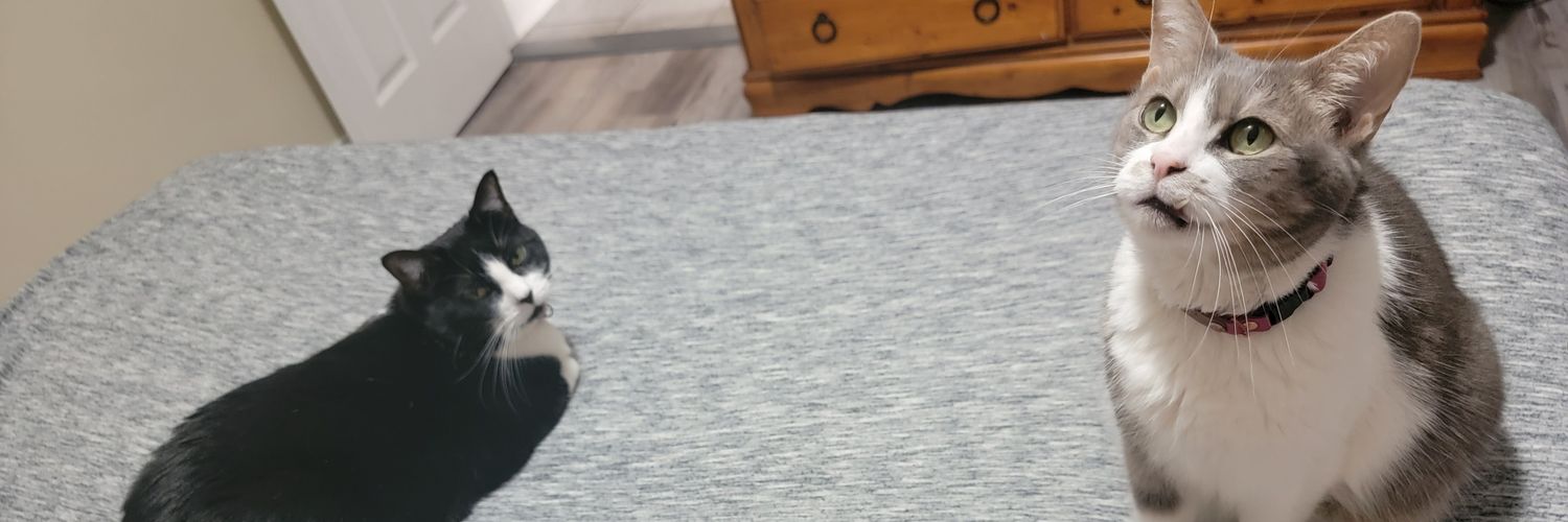 Jilliankayb's profile banner image