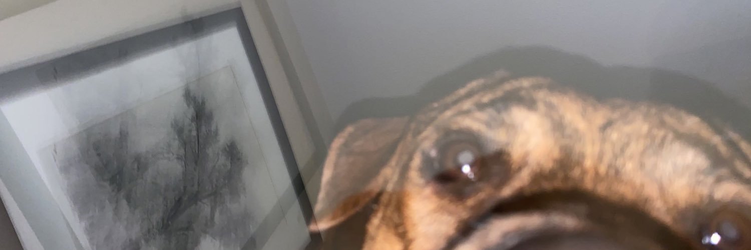 Lashashantell's profile banner image