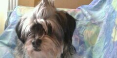 CarlaTrillo1's profile banner image