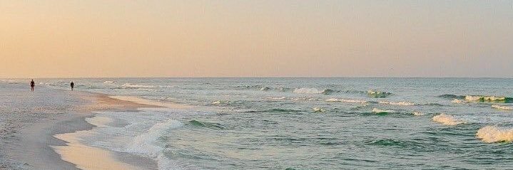 Toni-Lee Duffus banner