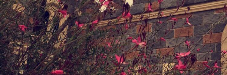 lole177's profile banner image