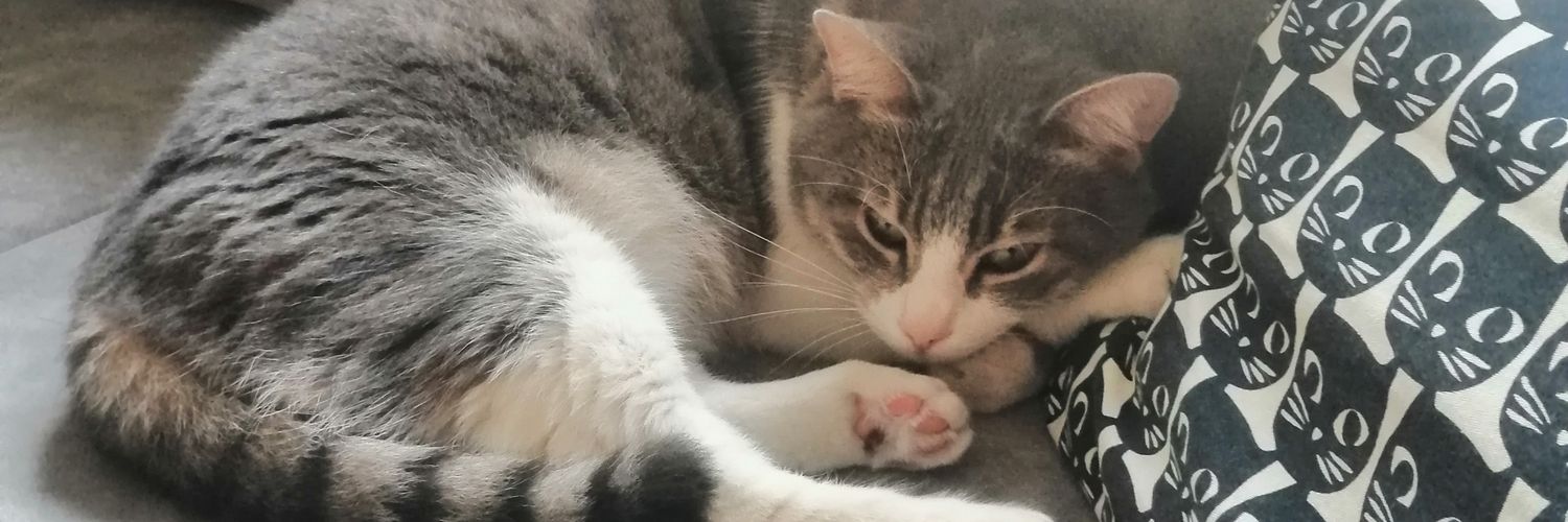 barispolattt's profile banner image