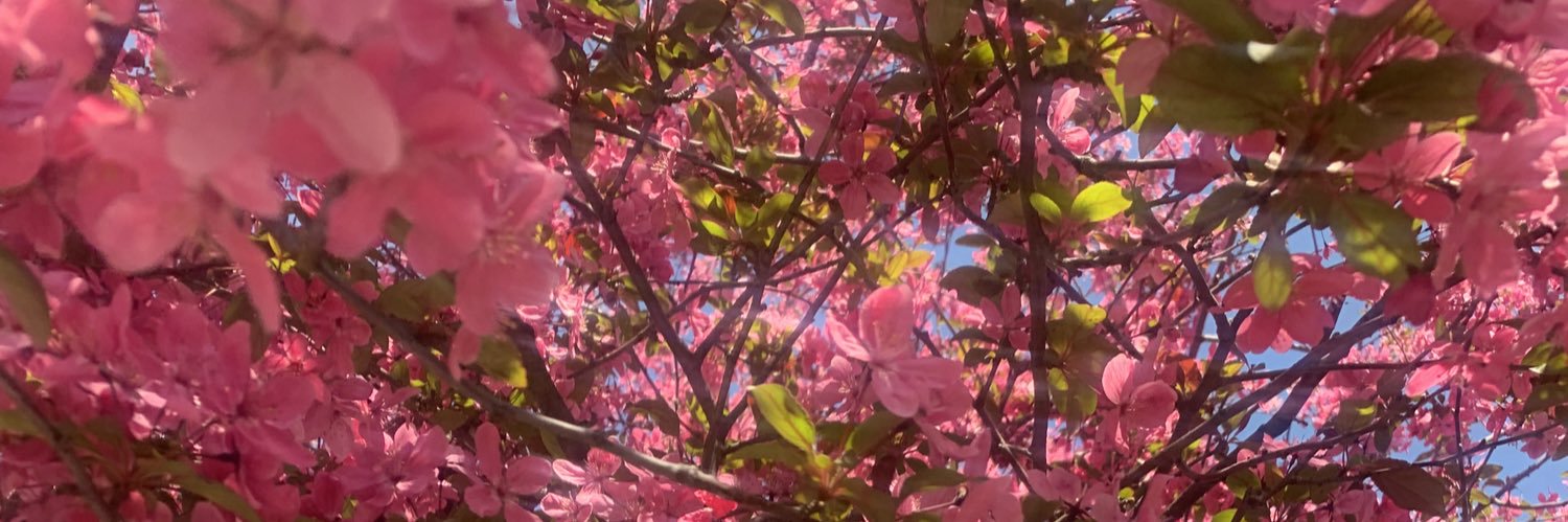 thestefinesse's profile banner image