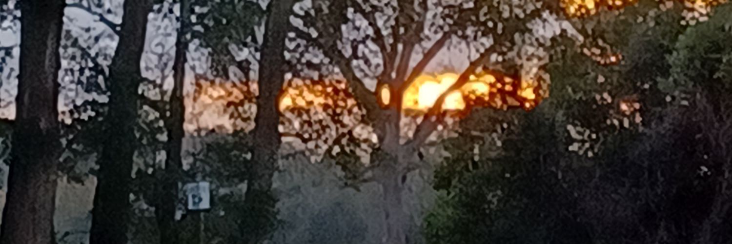 Debi Hanchey banner
