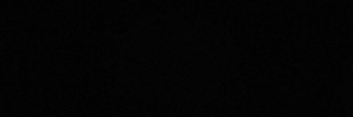 2011luluh's profile banner image