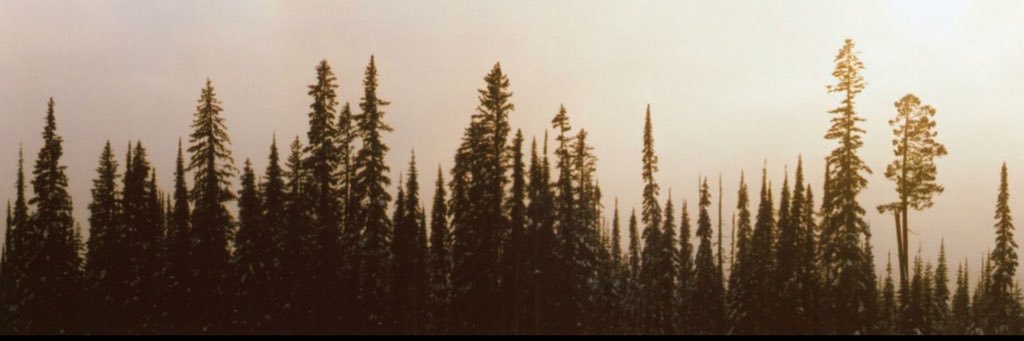 kassynL's profile banner image