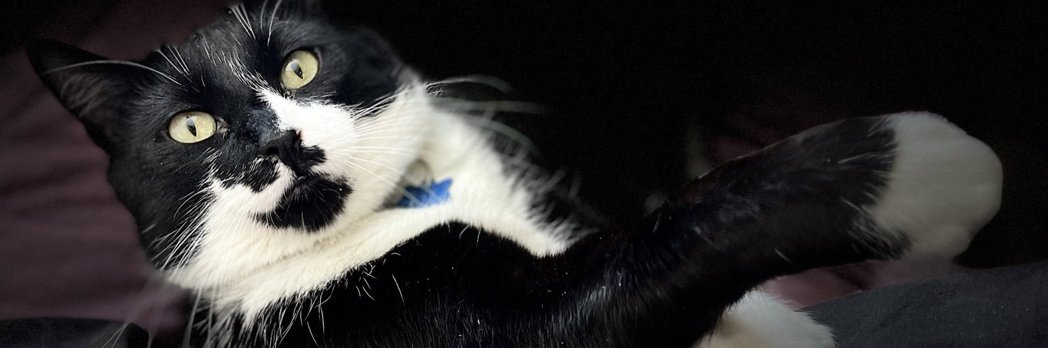 Christine Spencer 🇺🇸❤️🇺🇦(She/Her) banner