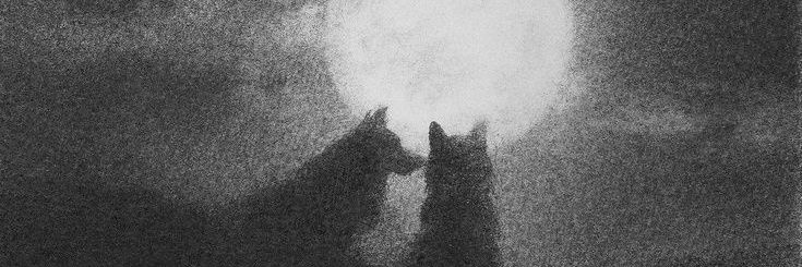 Emredvn's profile banner image