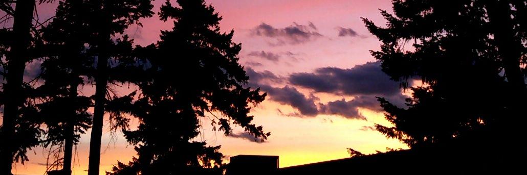 ZackJewell1's profile banner image