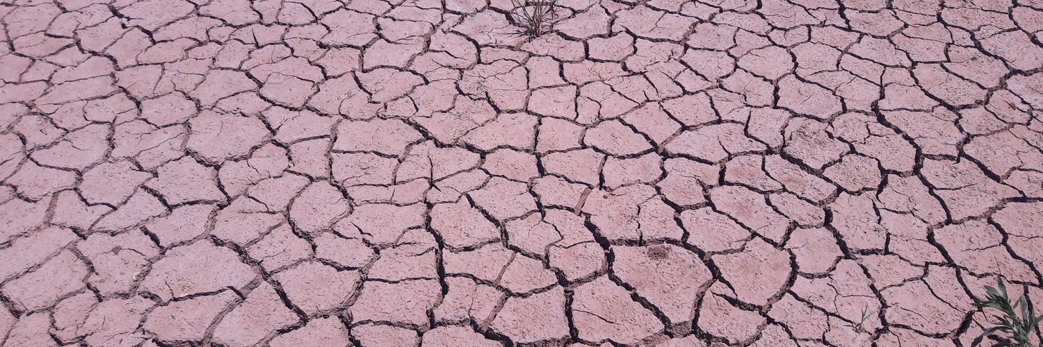 I t z e l M a t a banner