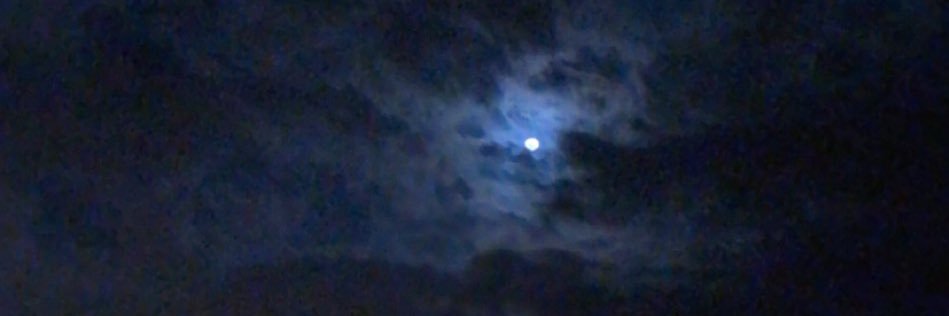 ___w95's profile banner image