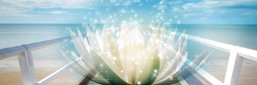 PositivelyCalm banner