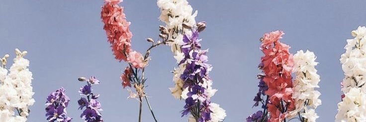 paula_m522's profile banner image