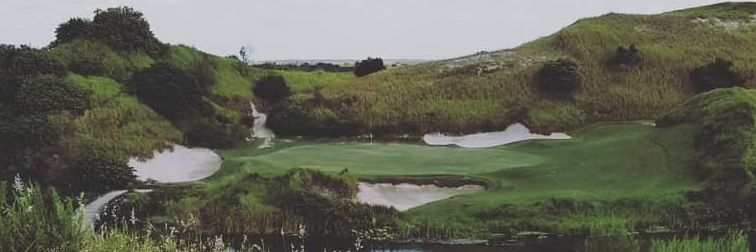 Vincent piconi banner