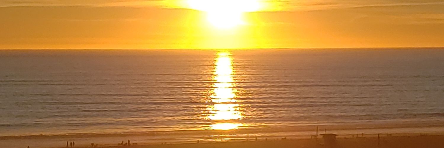 JenkinSone9's profile banner image