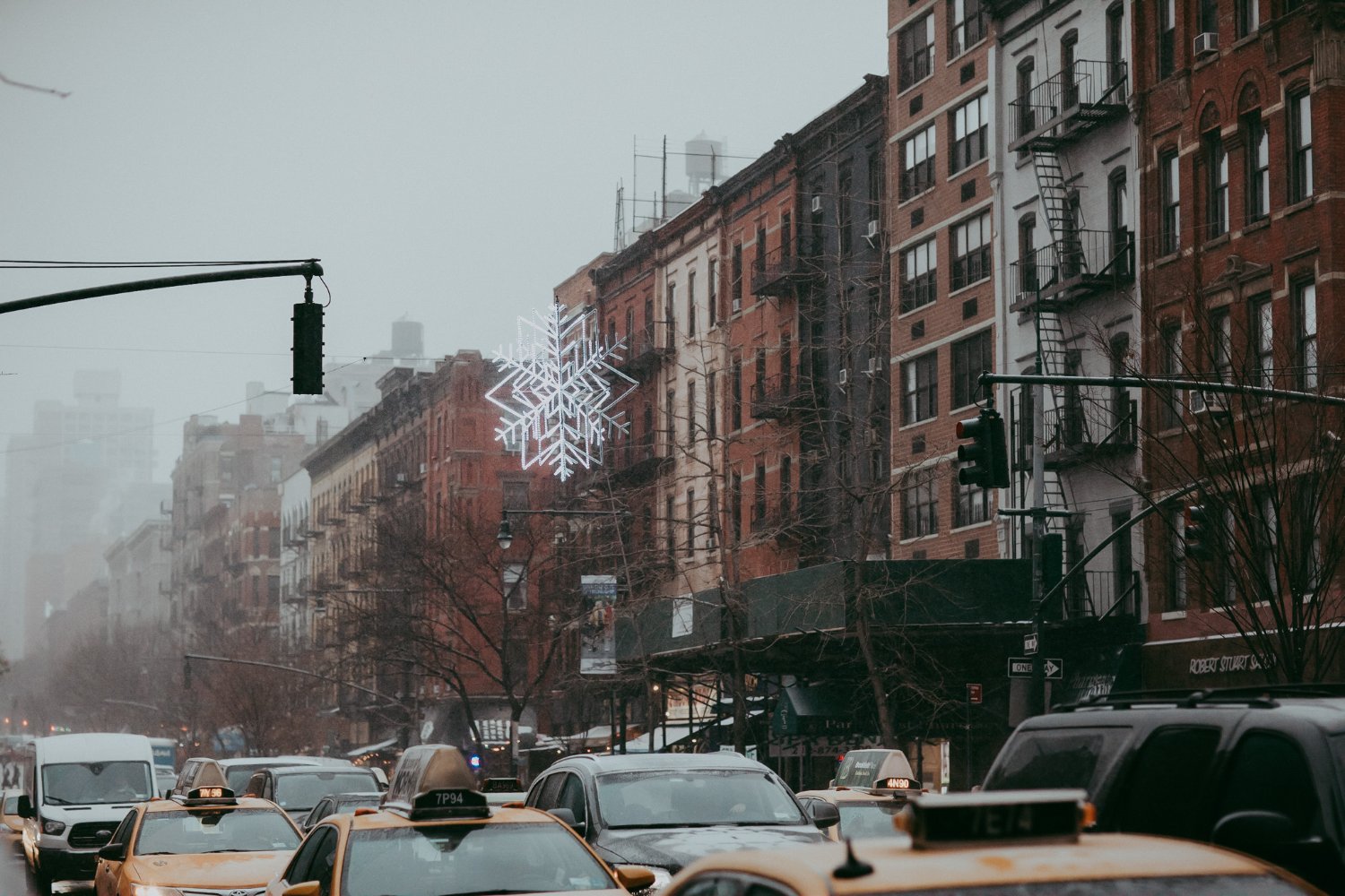 sylvie rosokoff banner
